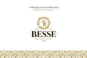 page de site en construction maison française besse, foie gras dans les landes